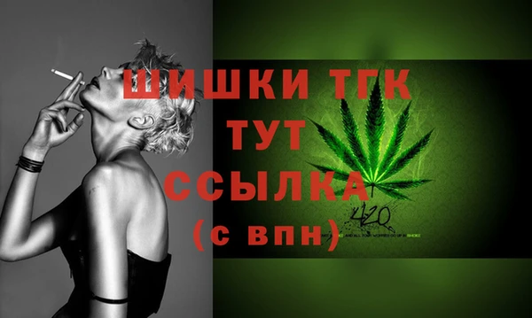 mix Верхний Тагил